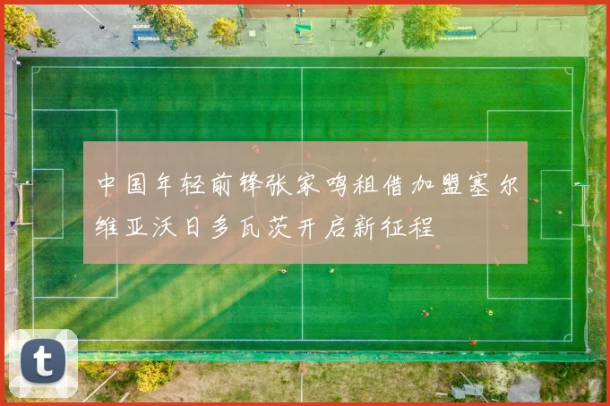 中国年轻前锋张家鸣租借加盟塞尔维亚沃日多瓦茨开启新征程