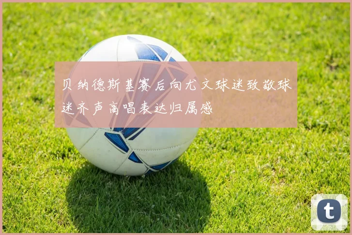 贝纳德斯基赛后向尤文球迷致敬球迷齐声高唱表达归属感